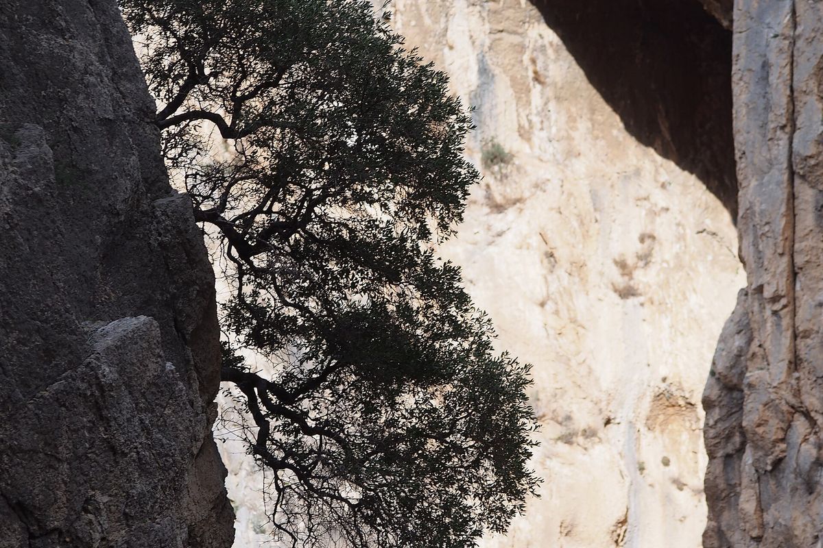 Le Desfiladero de los Gaitanes, le canyon que parcourt le Caminito del Rey